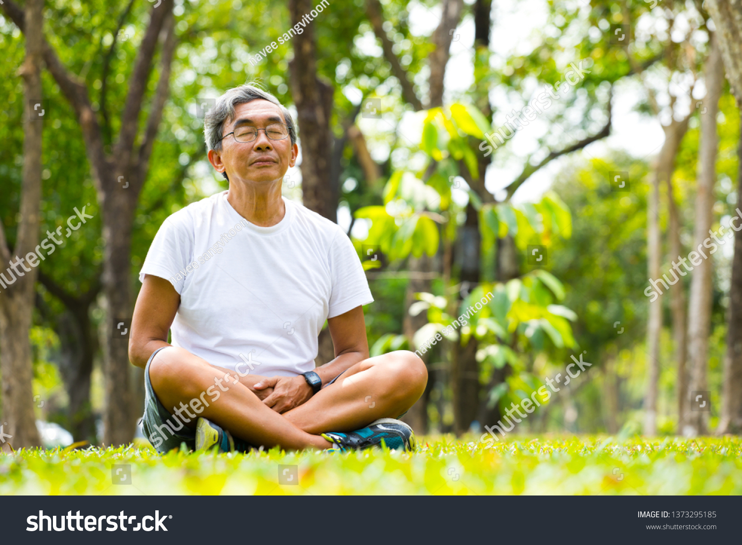 Old Man Meditation Nature Park Stock Photo 1373295185 | Shutterstock