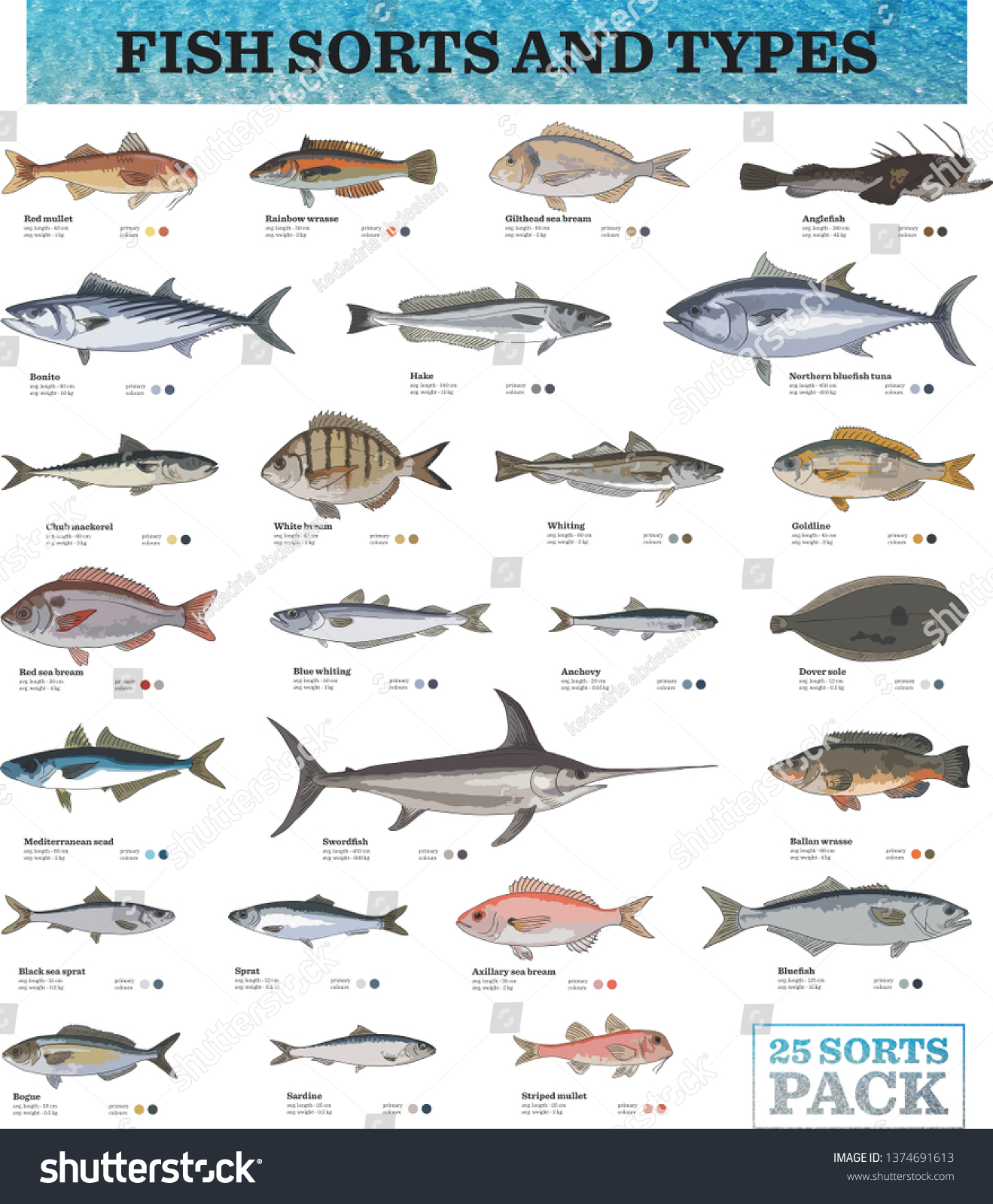 Катадромные виды рыб. Разные породы рыб. Names of Fish in English. High Definition Fish Chart. What are the names of Fish.