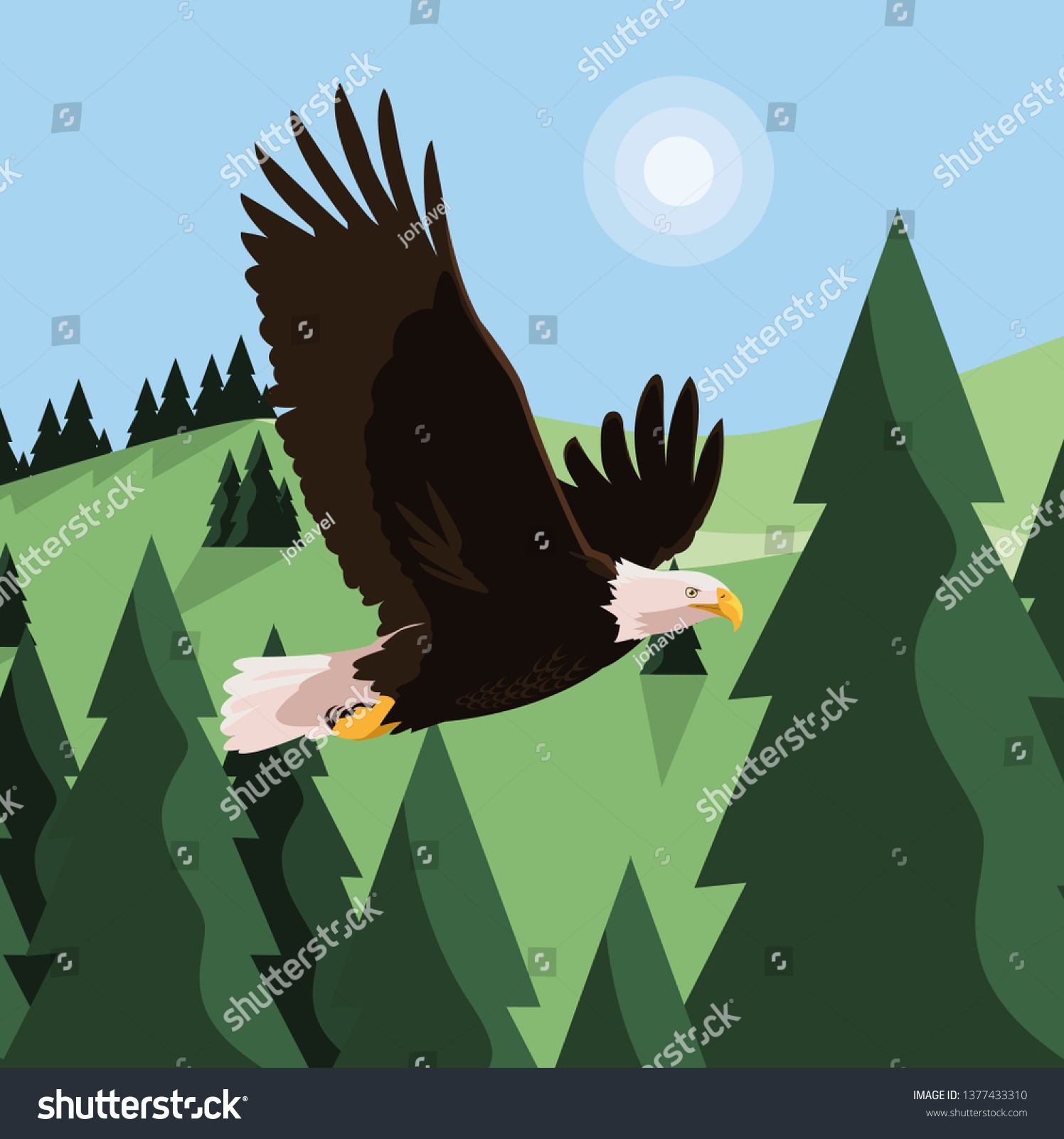 Beautiful Bald Eagle Flying Landscape Stock Vector (Royalty Free ...