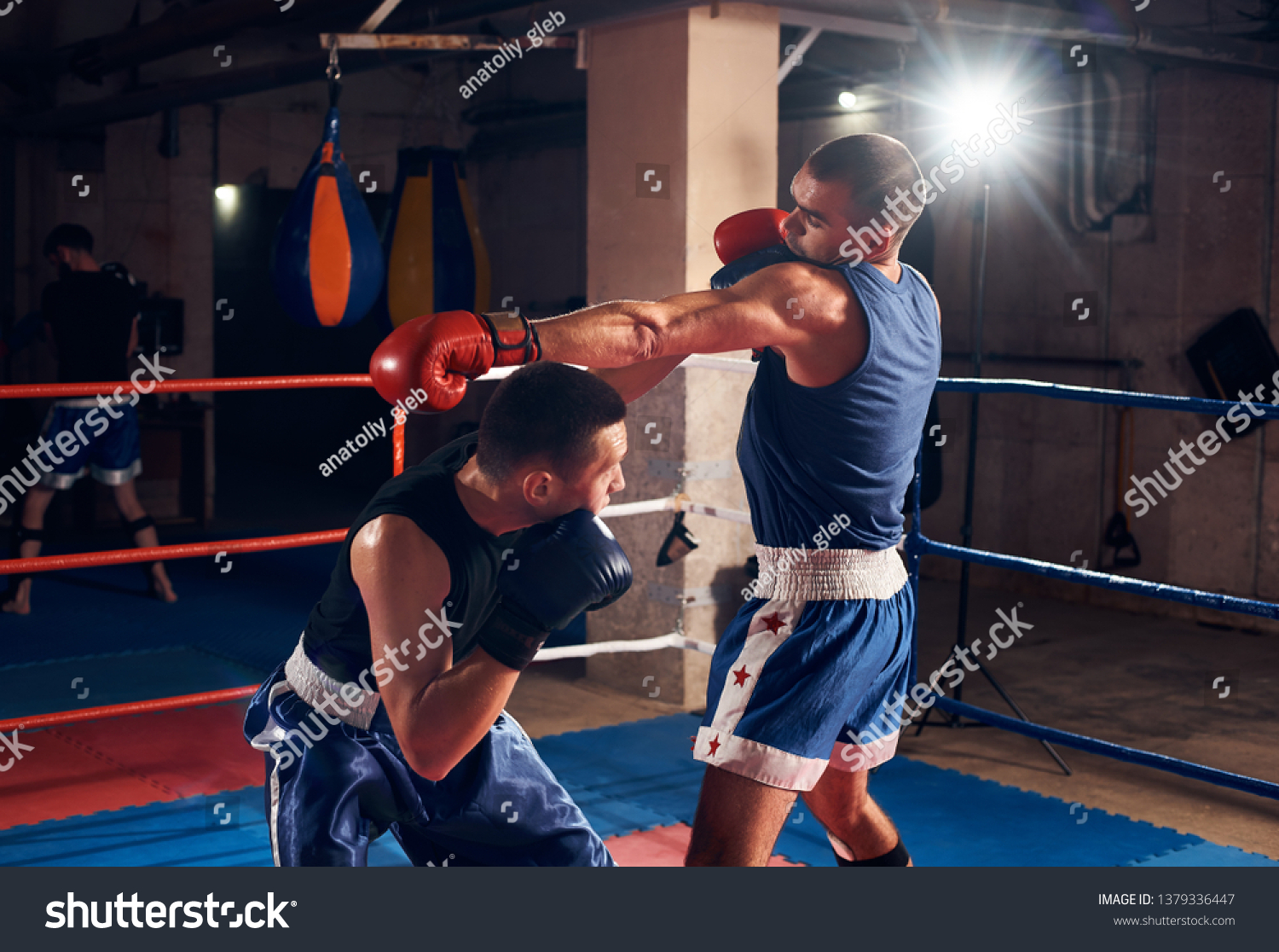 Two Sportsmen Aggressive Boxers Training Boxing Stock Photo 1379336447 ...