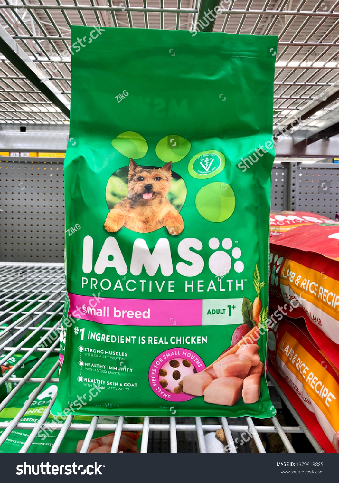 is iams wet food good for dogs