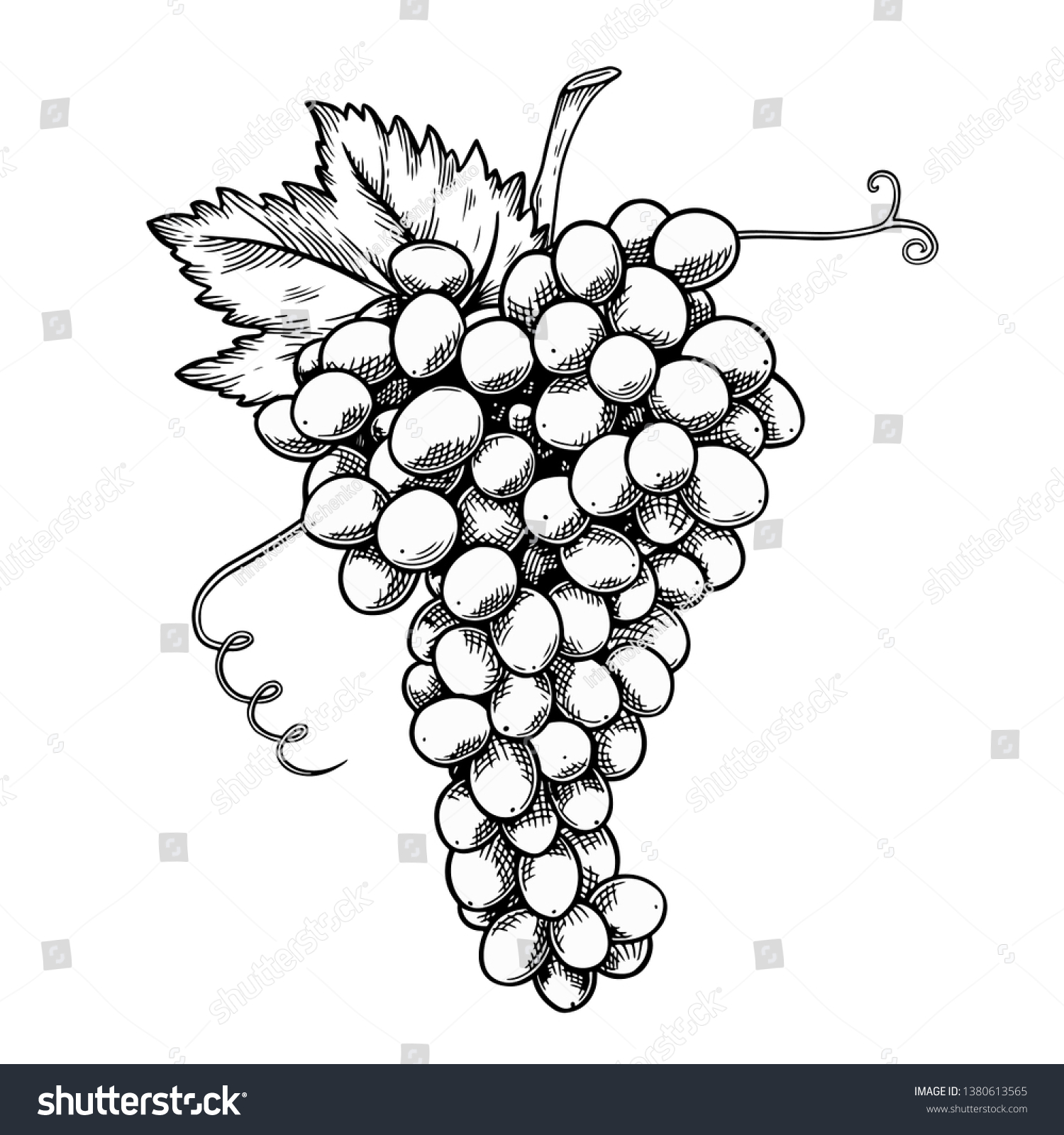 Grape Bunch Monochrome Sketch Style Illustration Stock Vector (Royalty ...