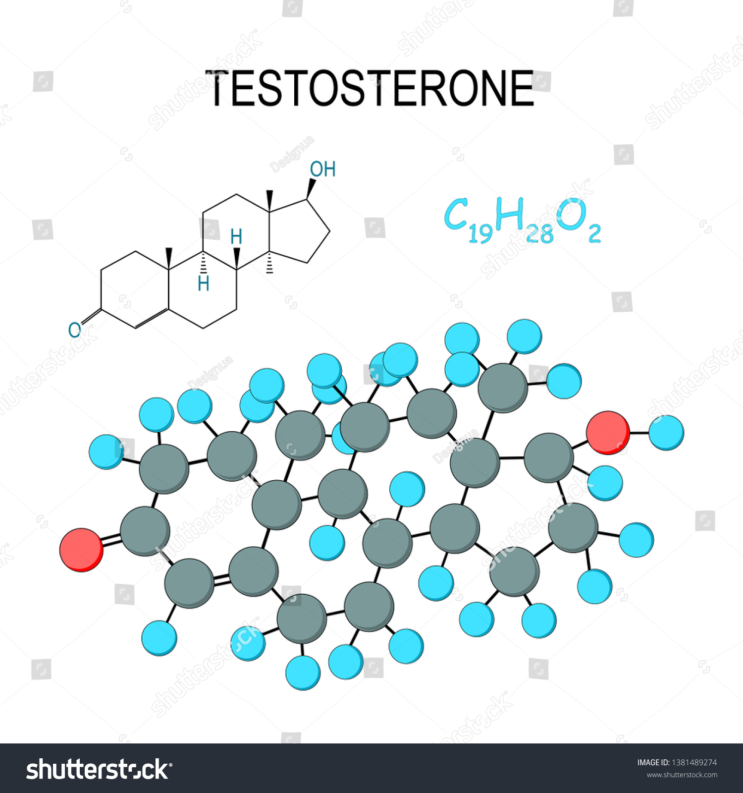 Testosterone Chemical Structural Formula Model Molecule Stock Vector