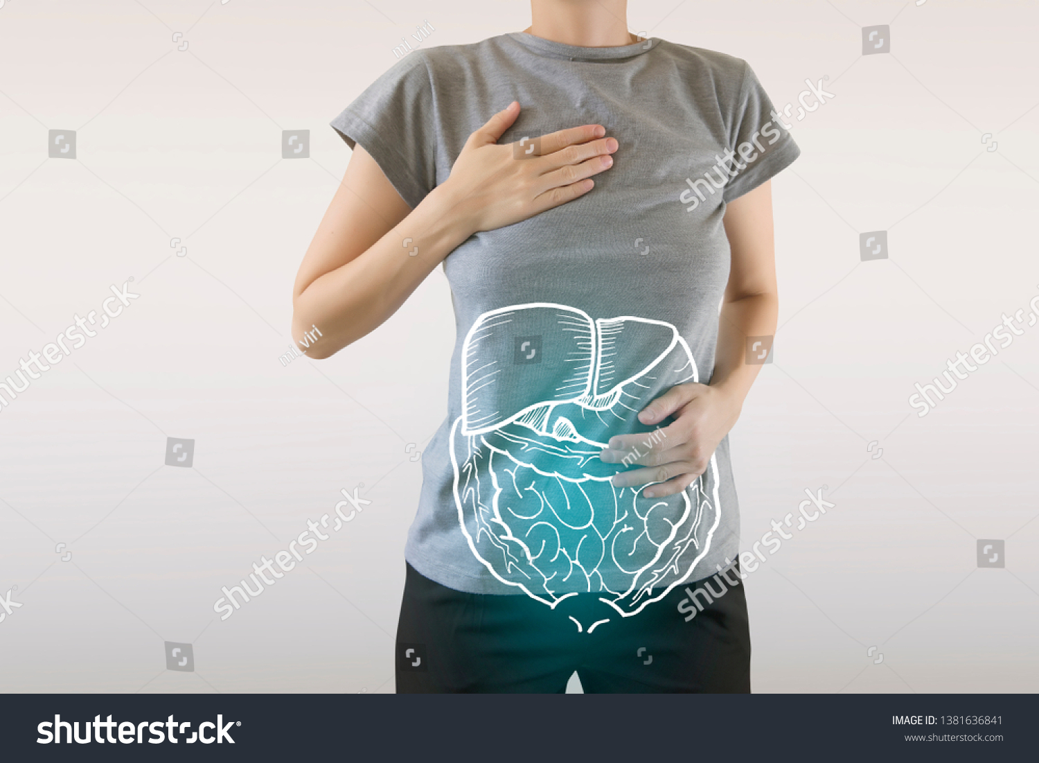 Highlighted Blue Internal Organs Healthy Human Stock Photo 1381636841 ...