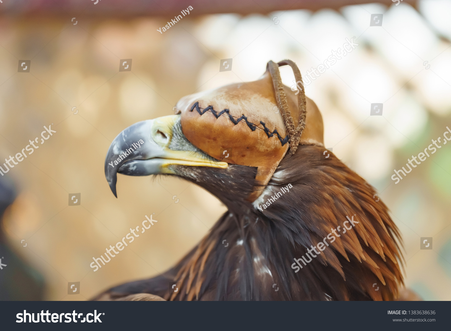 eagle leather cap