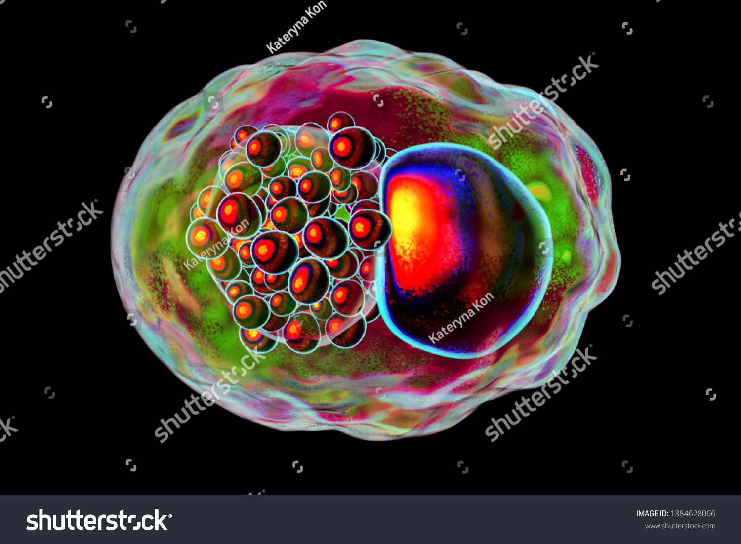 Chlamydia Trachomatis Bacteria 3d Illustration Showing Stock Illustration 1384628066 Shutterstock 0976