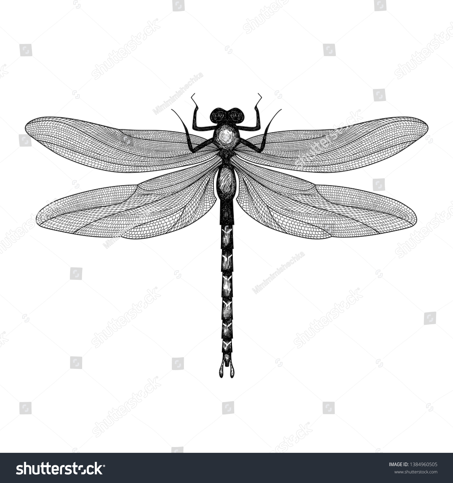 Black Dragonfly On White Background Isolated Stock Vector (Royalty Free ...