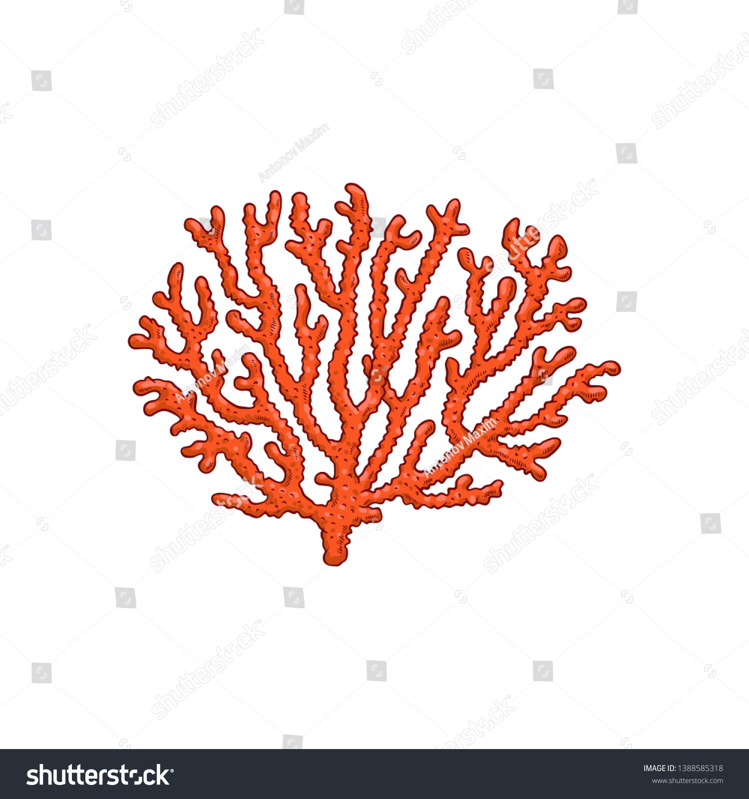 Vector Tropical Red Coral Branch Icon Stock Vector (Royalty Free ...