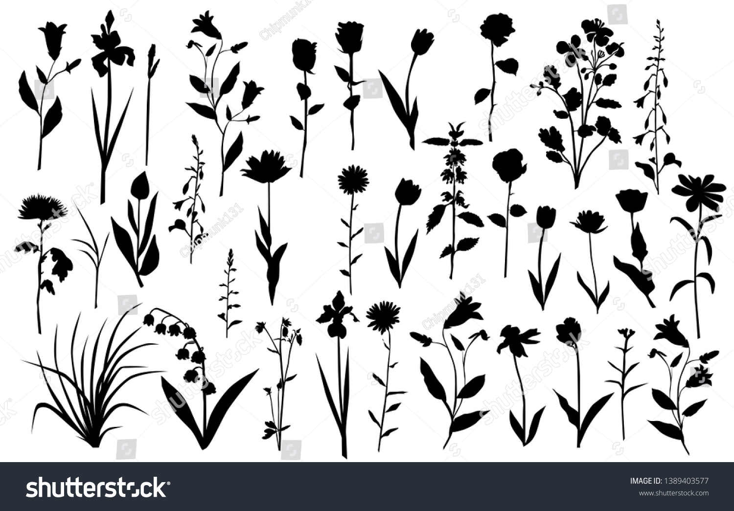 Collection Flower Silhouettes Rose Lily Tulip Stock Vector (Royalty ...