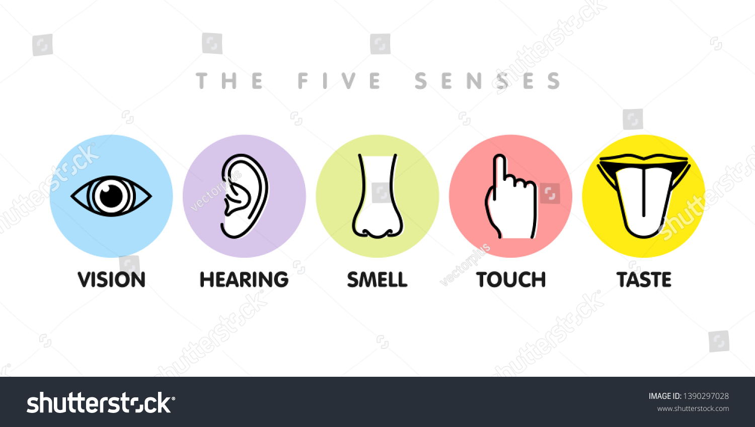 Icon Set Five Human Senses Vision Stock Vector (Royalty Free ...