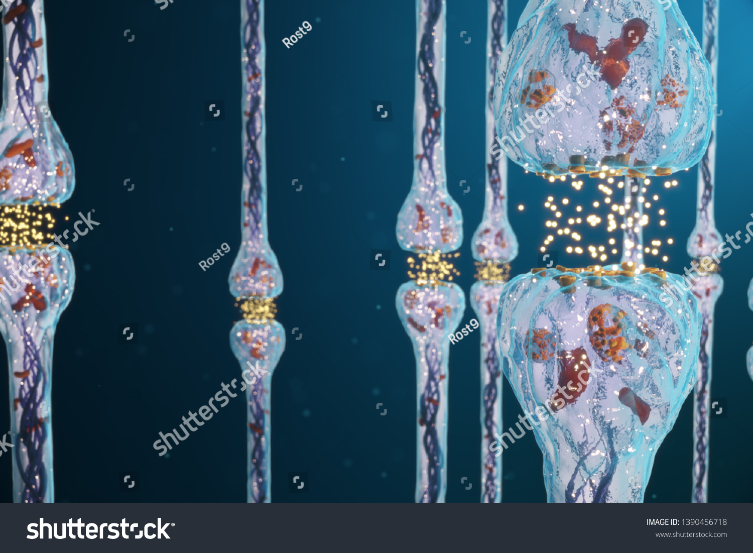 Synaptic Transmission Nervous System Receptors Concept Stock ...