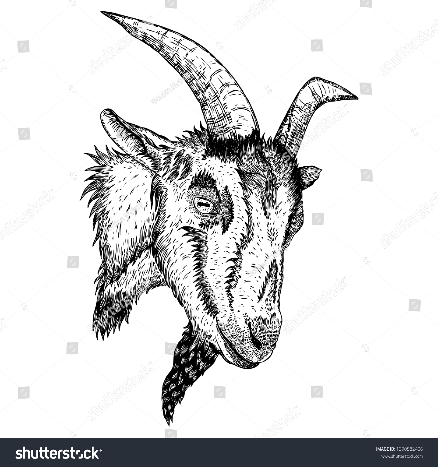 Goat Sheep Farm Animal Head Horns Stock Vector (Royalty Free ...