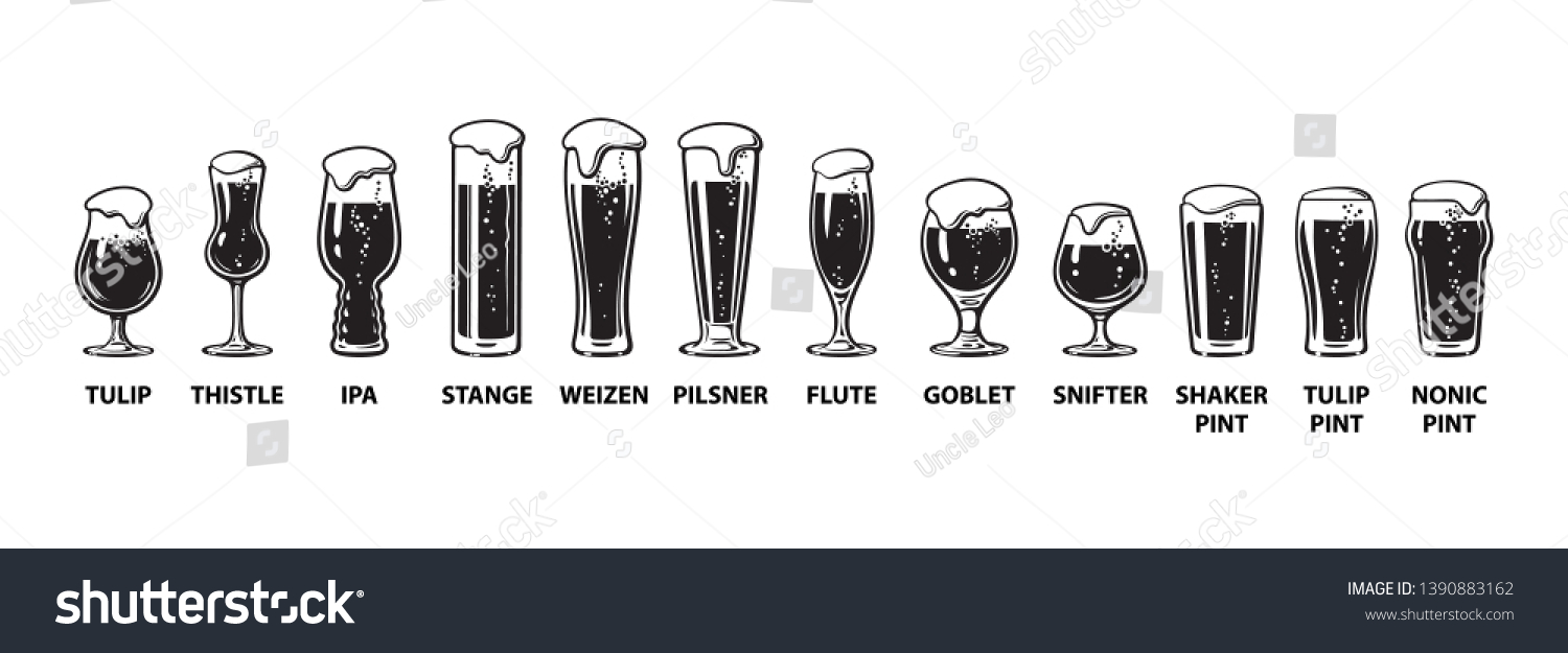 Beer Glassware Guide Various Types Beer Stock Vector (Royalty Free ...