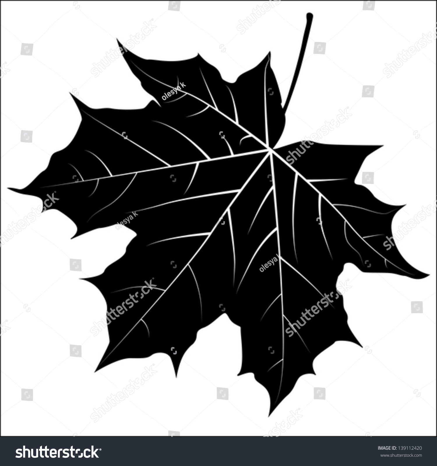 Клен с черными листьями