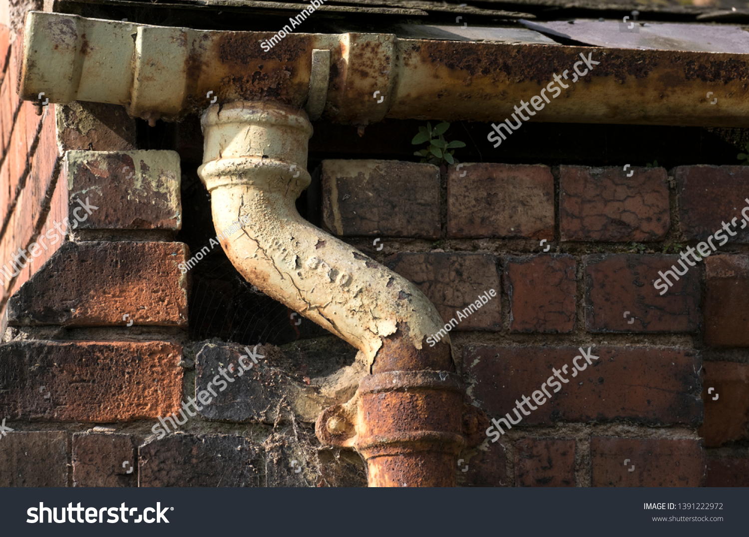 Old painted Rusty Pipes