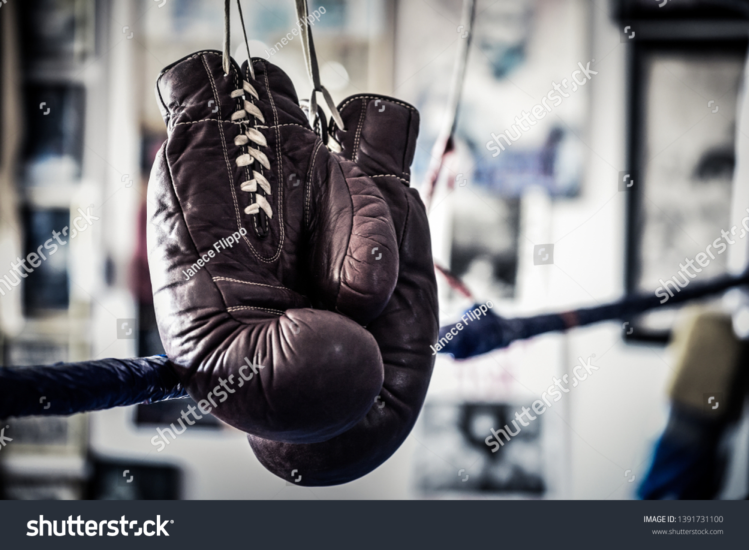 gloves boxing club