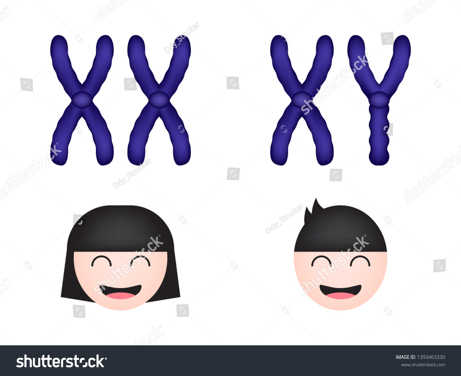 Sex Chromosome Women Men Vector Illustration 스톡 벡터 로열티 프리 1393463330 Shutterstock