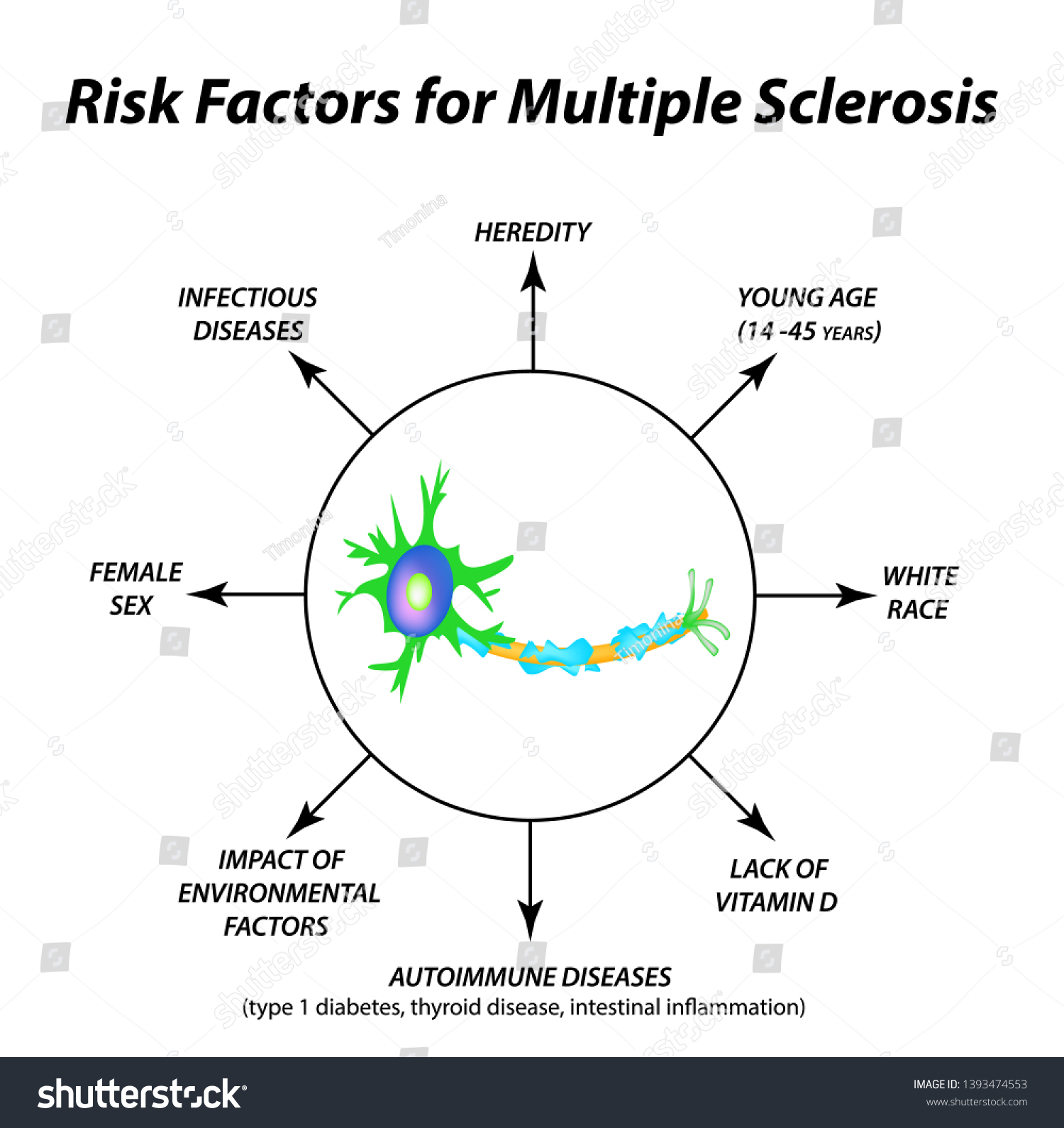 Risk Factors Multiple Sclerosis Destruction Myelin Stock Illustration ...