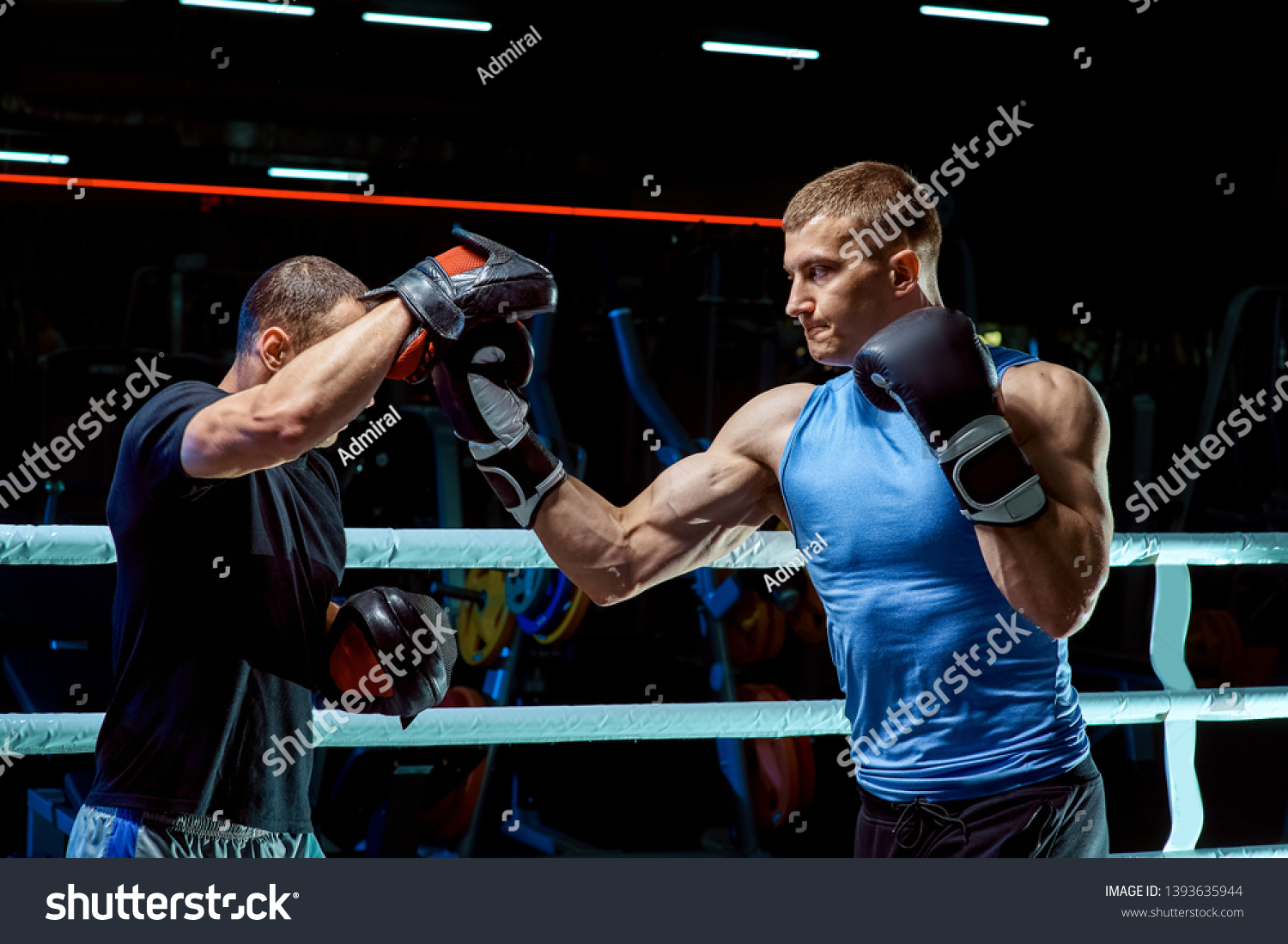 boxing pads training