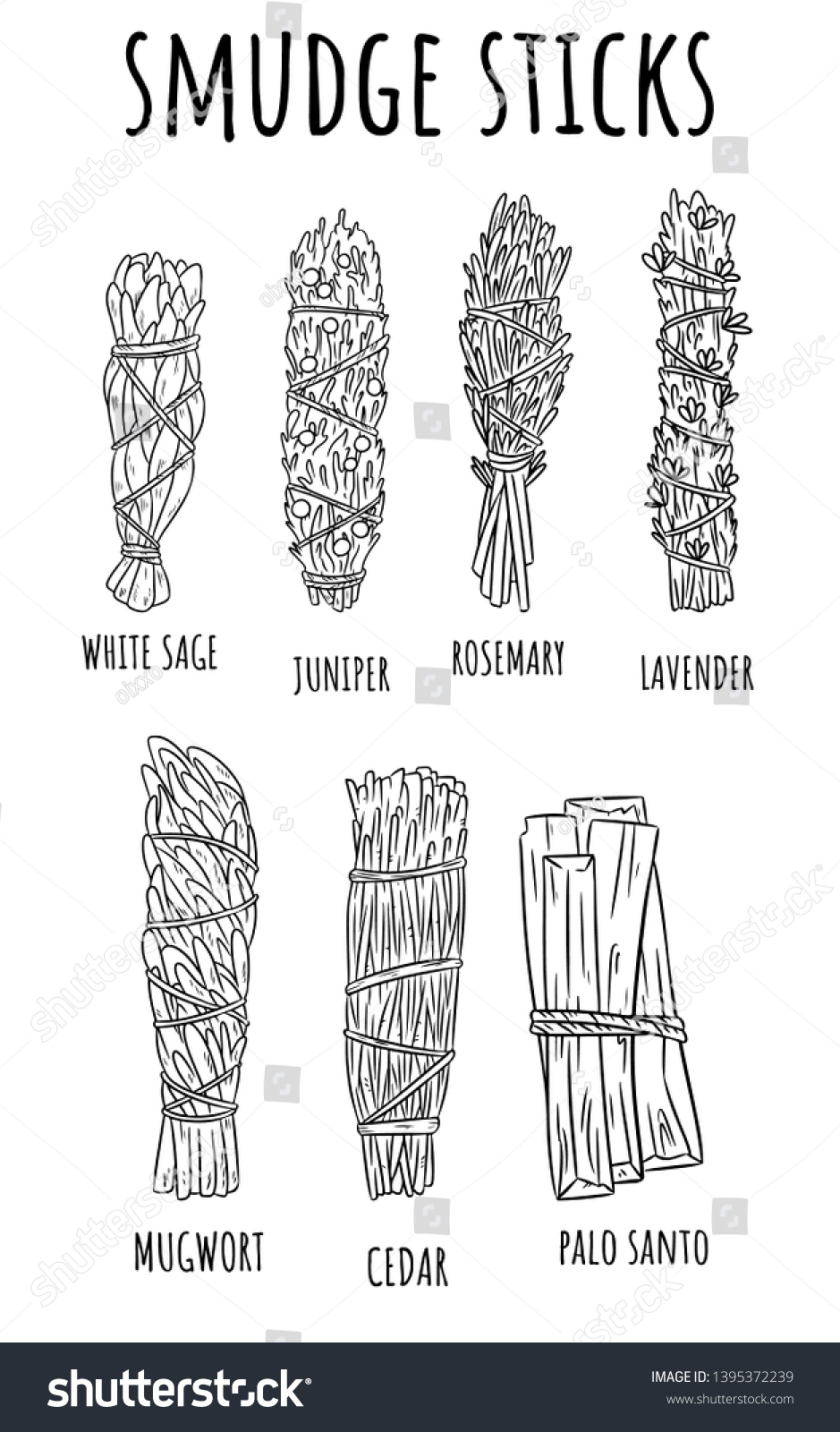 Sage Smudge Sticks Handdrawn Set Sketch Stock Vector Royalty Free