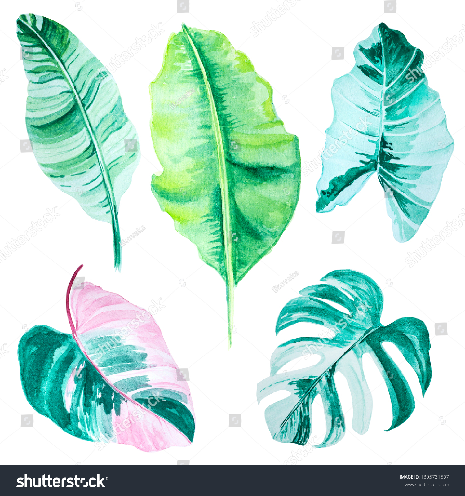 Set Tropical Green Leaves Watercolor Illustration Stock Illustration 1395731507 Shutterstock 1023