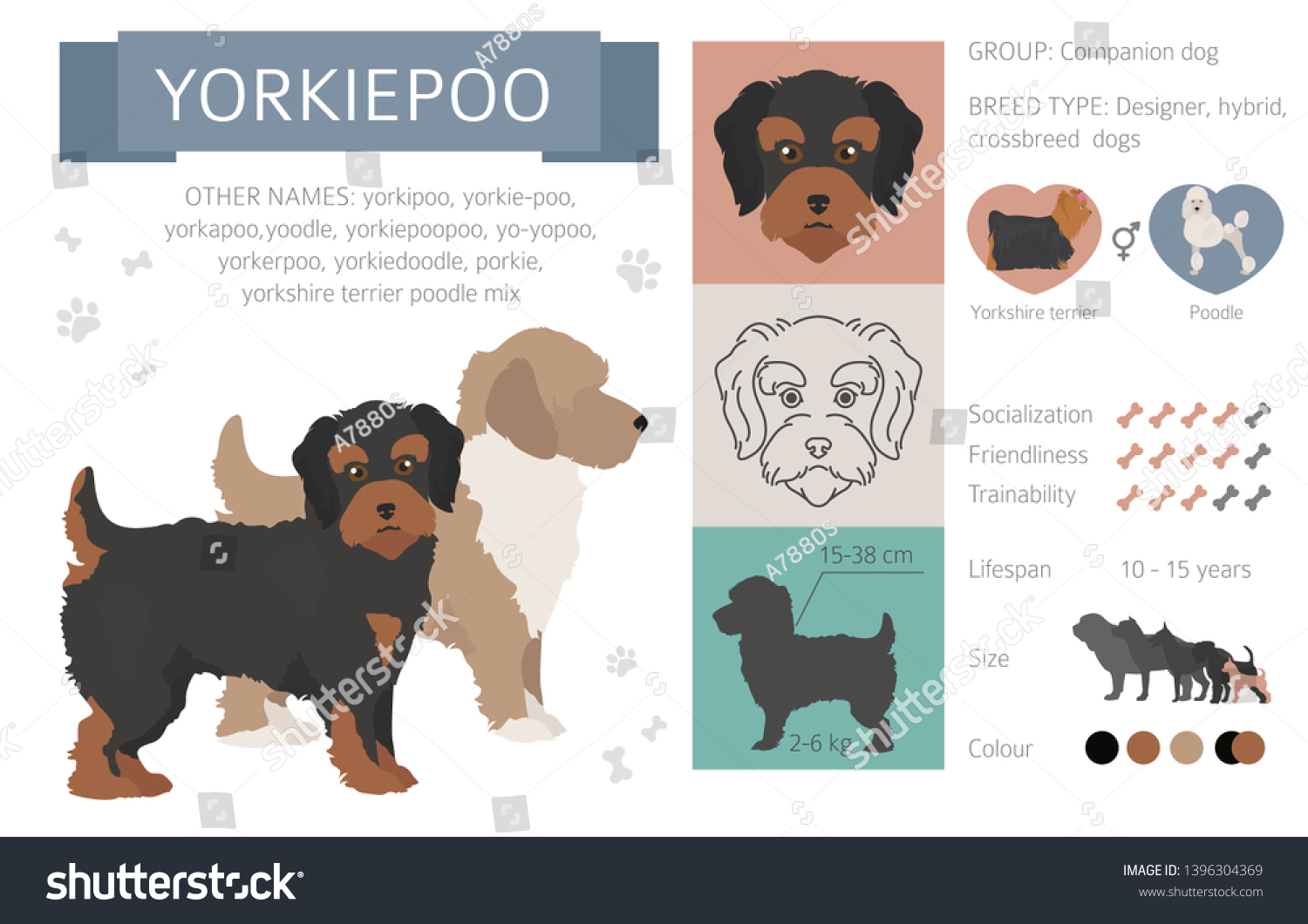 5 Yorkie poo Stock Vectors, Images & Vector Art | Shutterstock