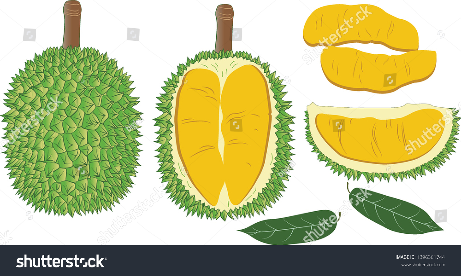 Durian Vector Disignset Vector Color Illustrations Stock Vector Royalty Free