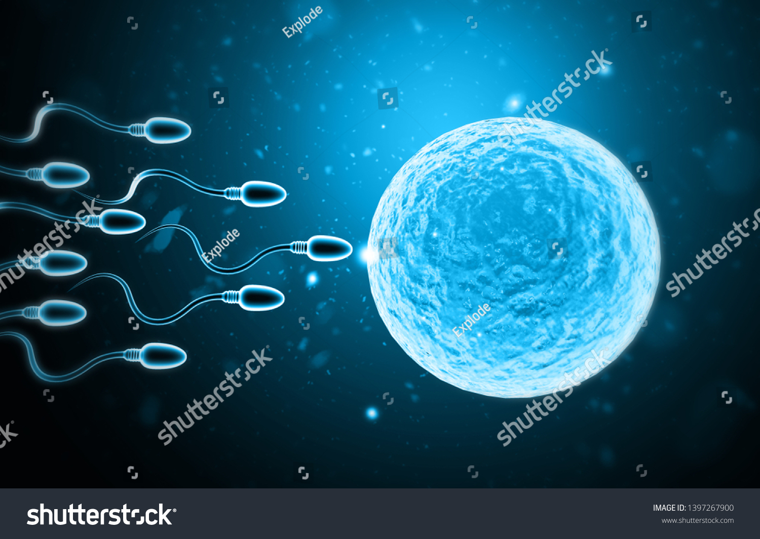 Microscopic View Sperm Egg Cell 3d Stock Illustration 1397267900