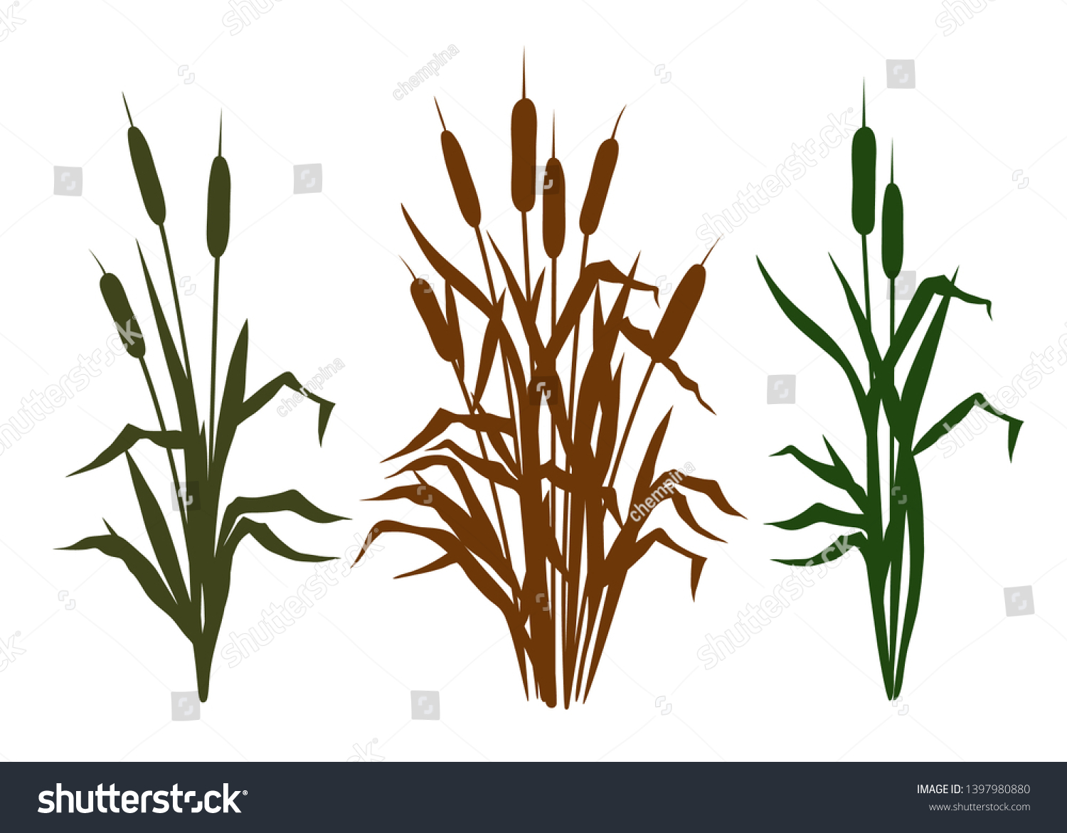 Collection Diverse Silhouettes Bulrush Clipart Vector Stock Vector ...