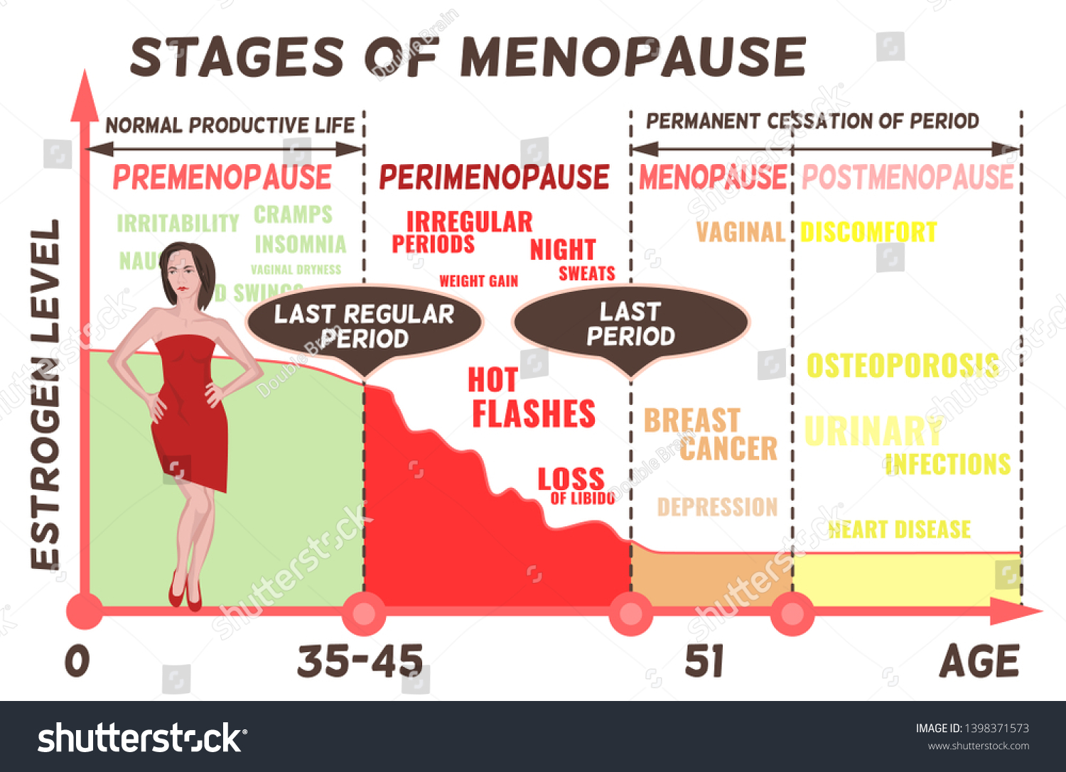 Stages Symptoms Menopause Estrogen Level Average Stock Illustration ...