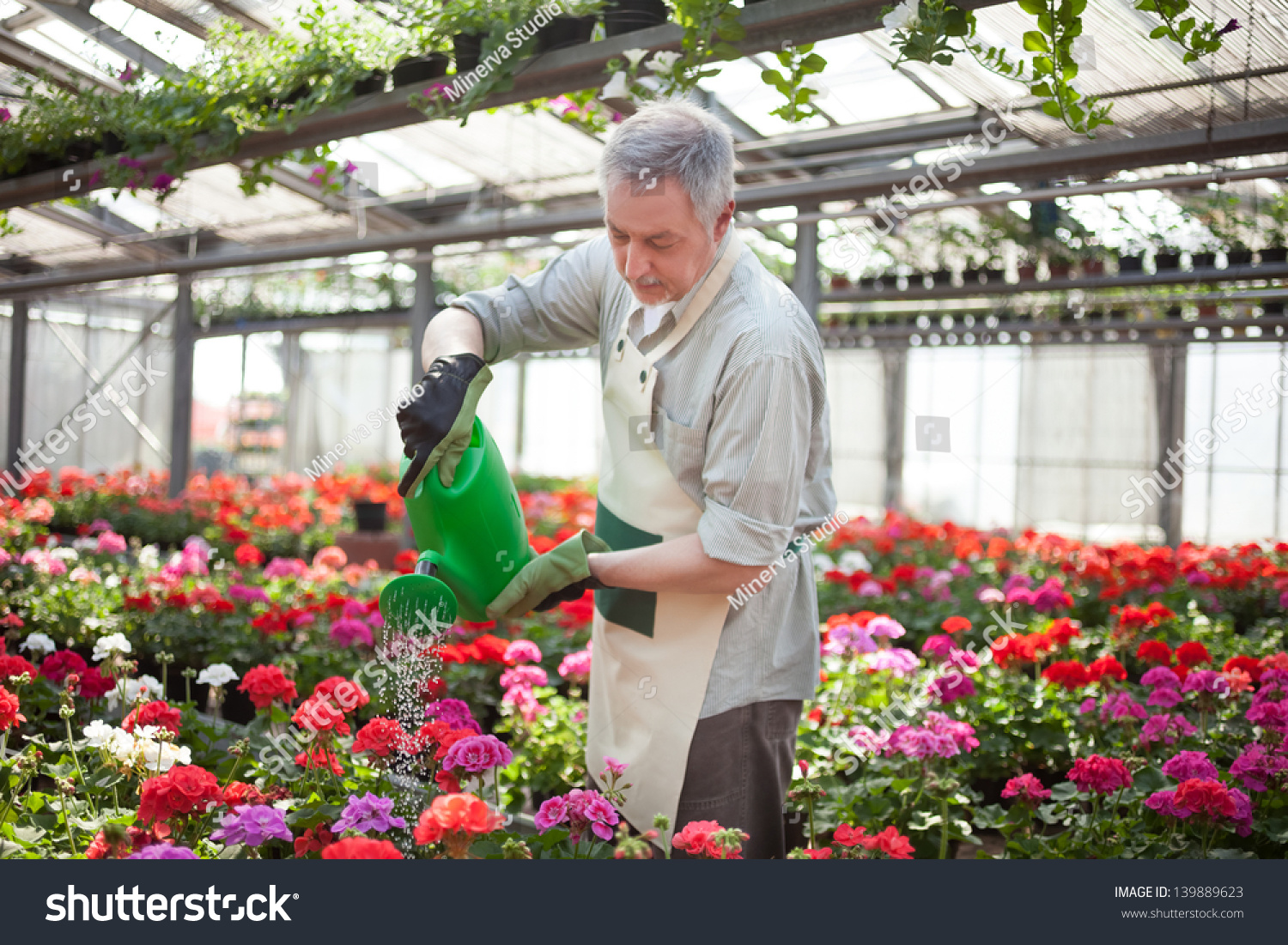 Работник теплицы цветы