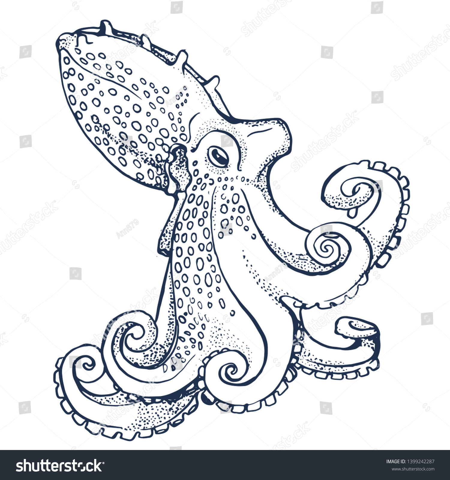 Octopus Hand Drawing Isolated On White Stock Vector (Royalty Free ...