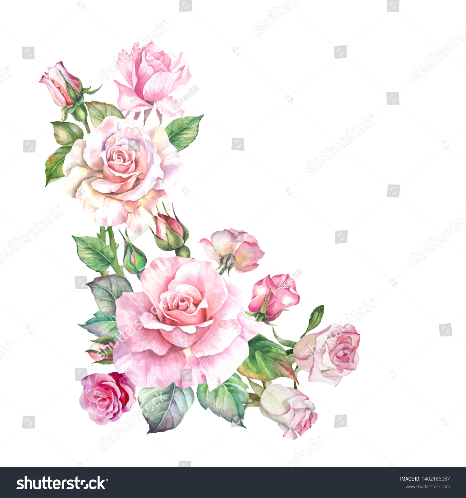 Flowers Corner Watercolor Pink Roses Stock Illustration 1402166087 ...