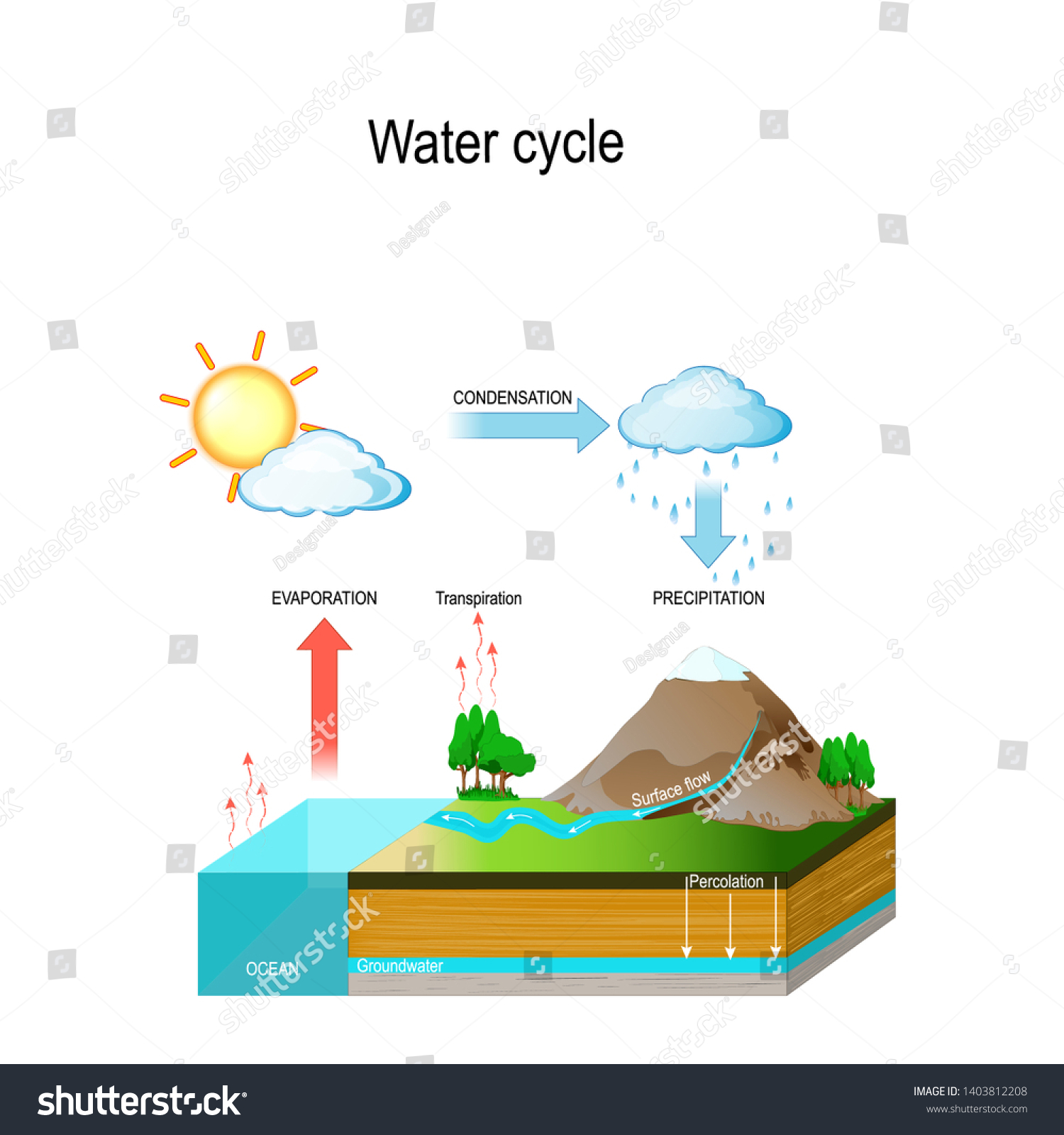 Water Cycle Nature Environment Sun Which Stock Vector (Royalty Free ...