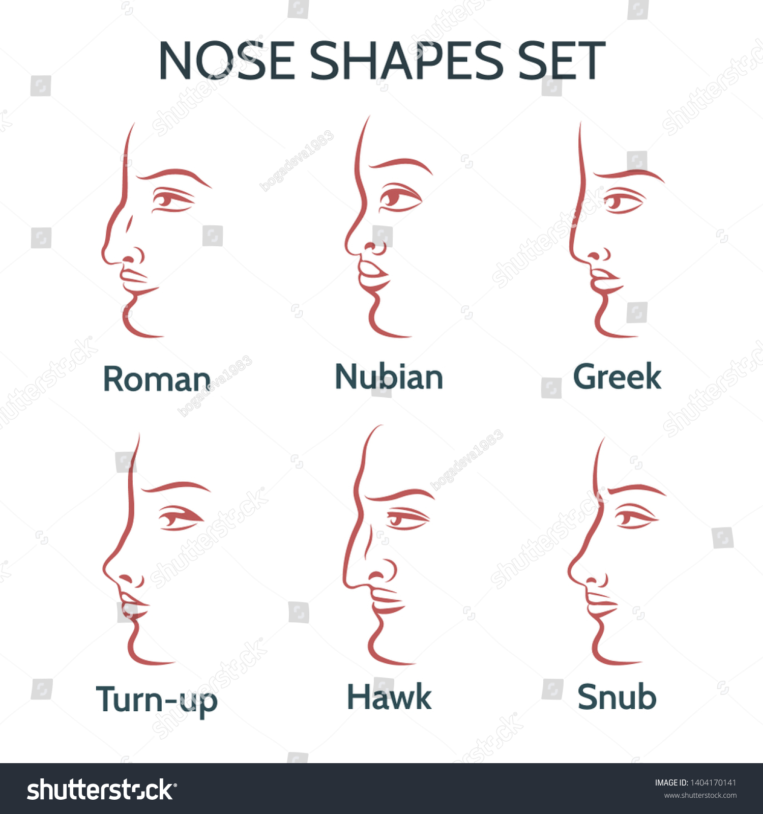 Формы носа и их названия