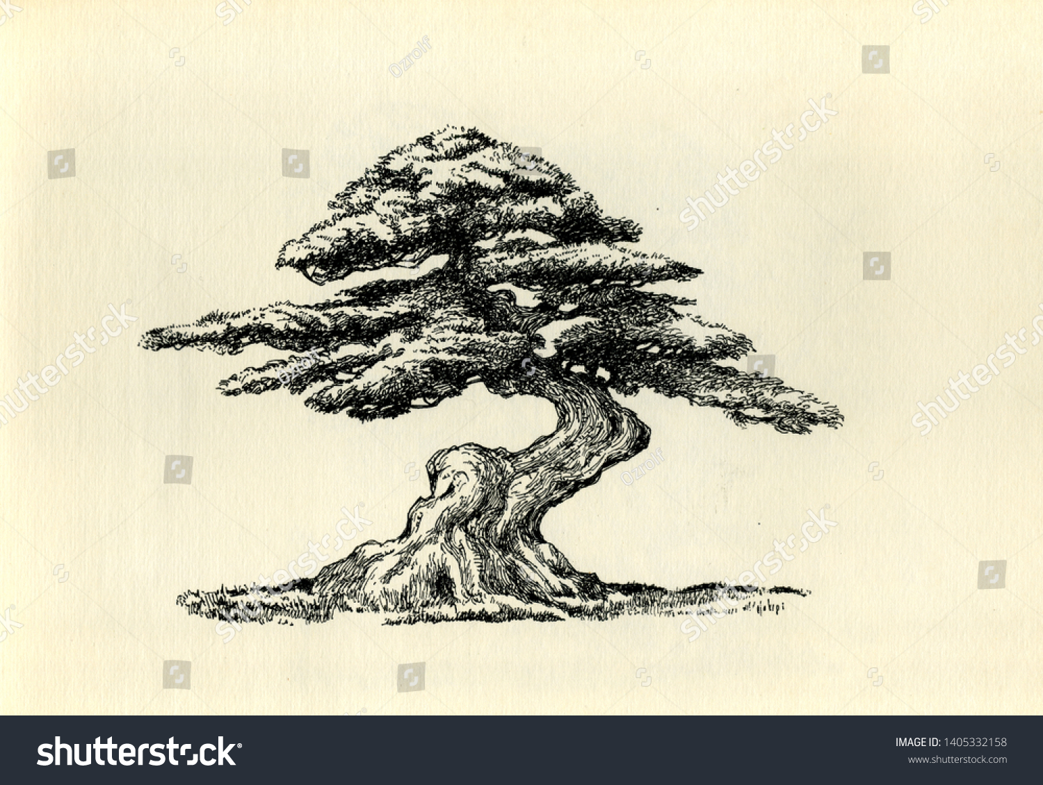 Trunks of the Trees нарисованные