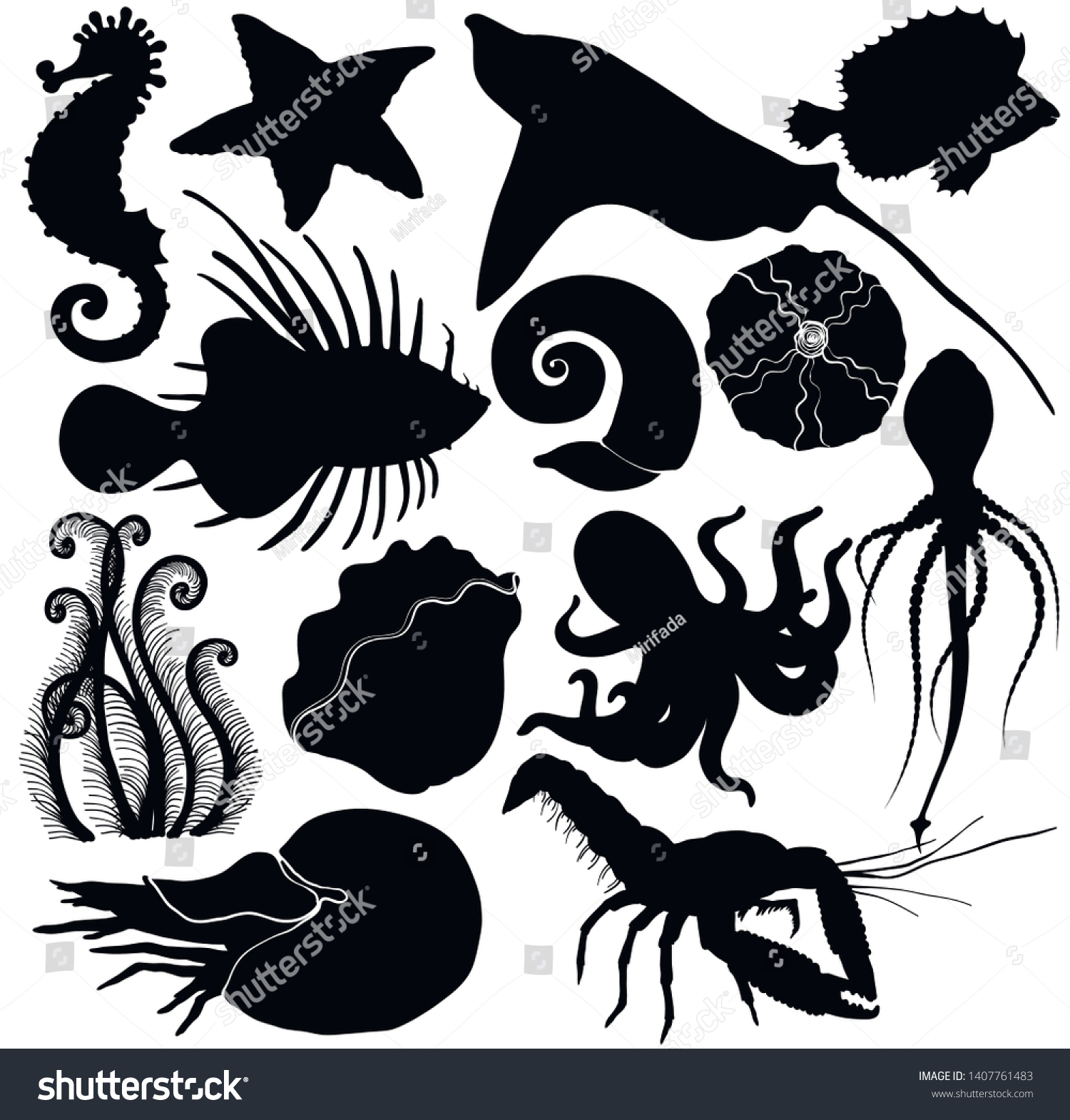 Silhouette Marine Life Organisms Vector Illustration Stock Vector 