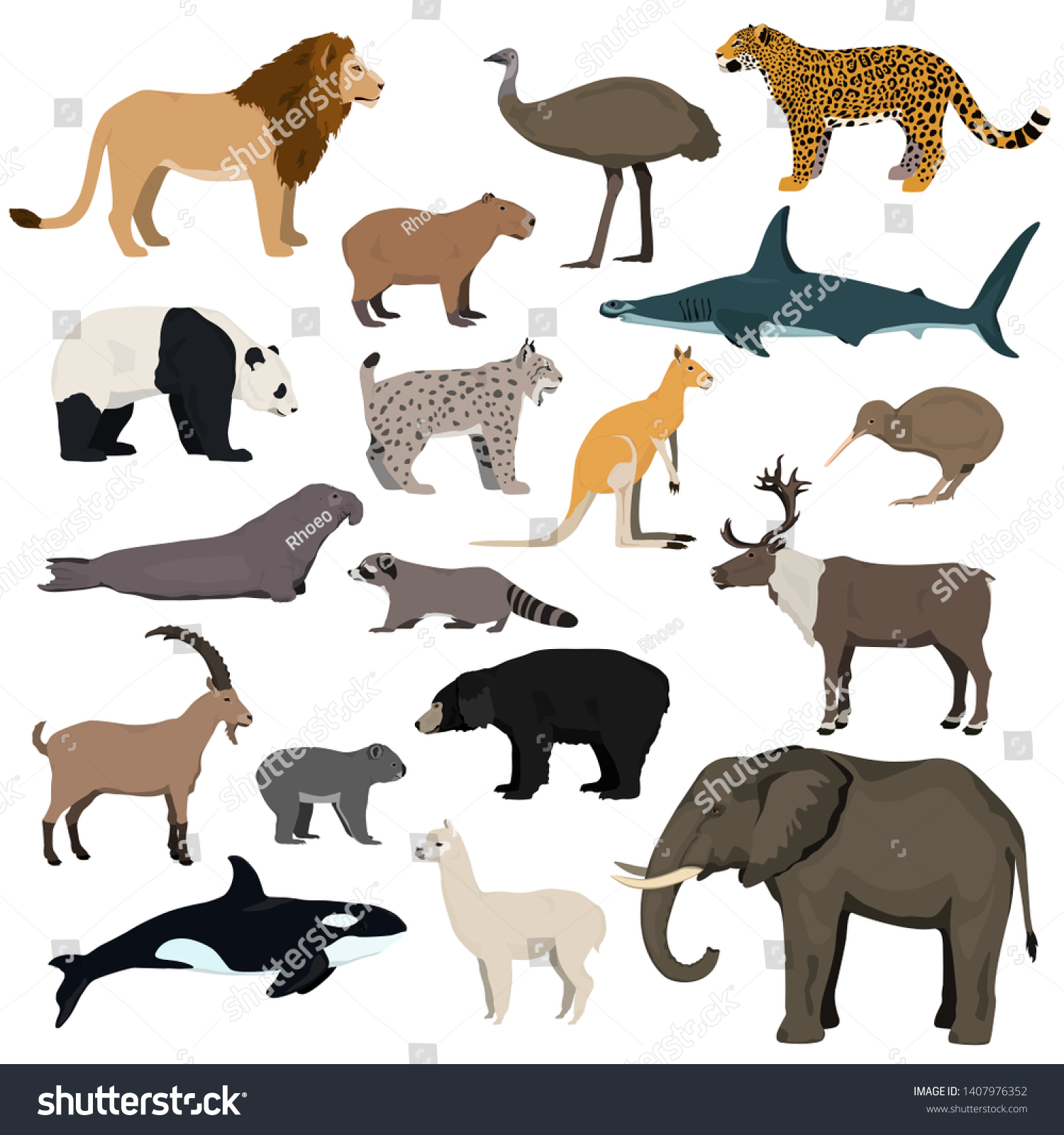 Big Animal Collection Vector Set Wild Stock Vector (Royalty Free ...