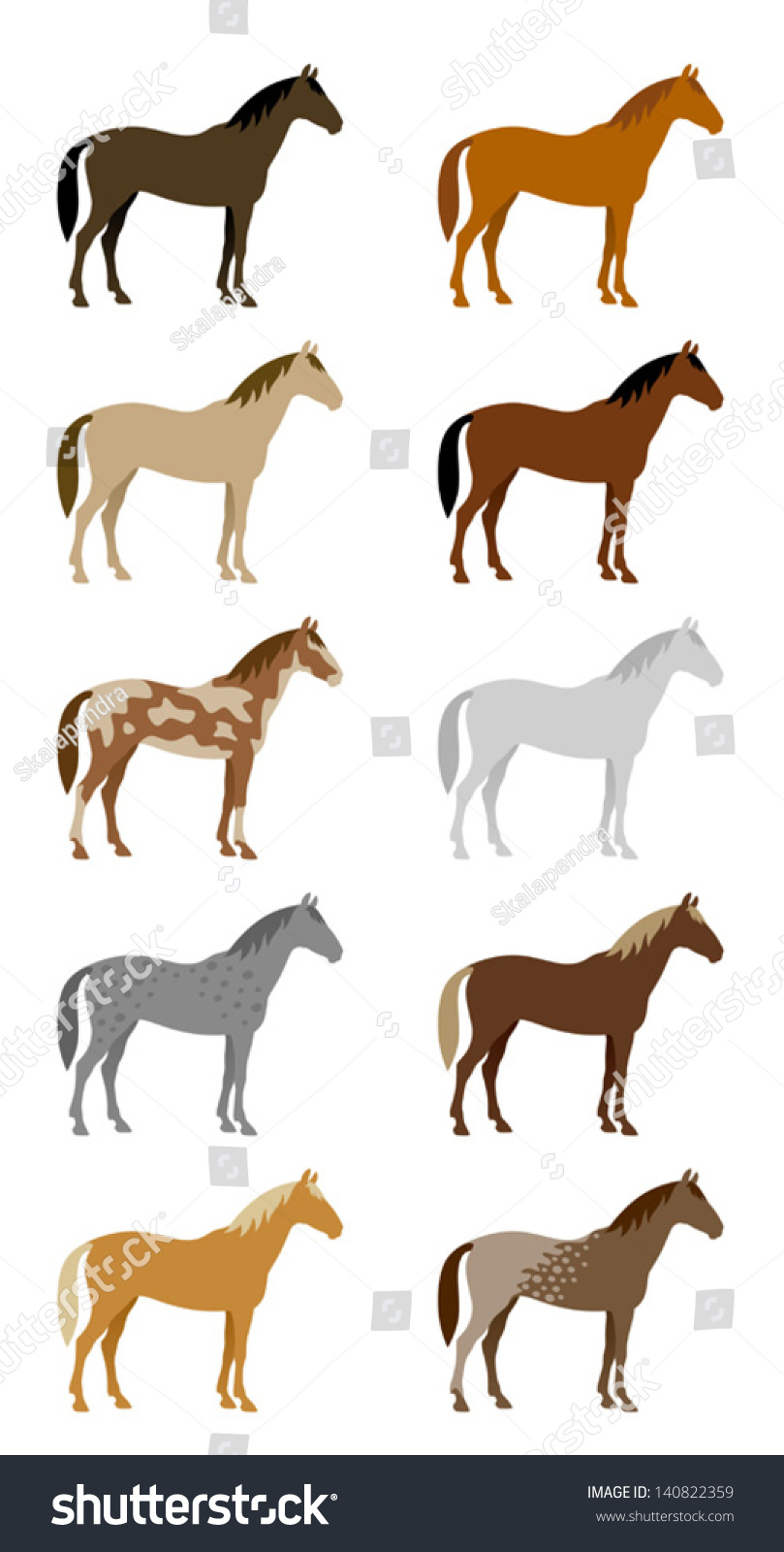 8 Speckled horse drawings black and white Images, Stock Photos ...