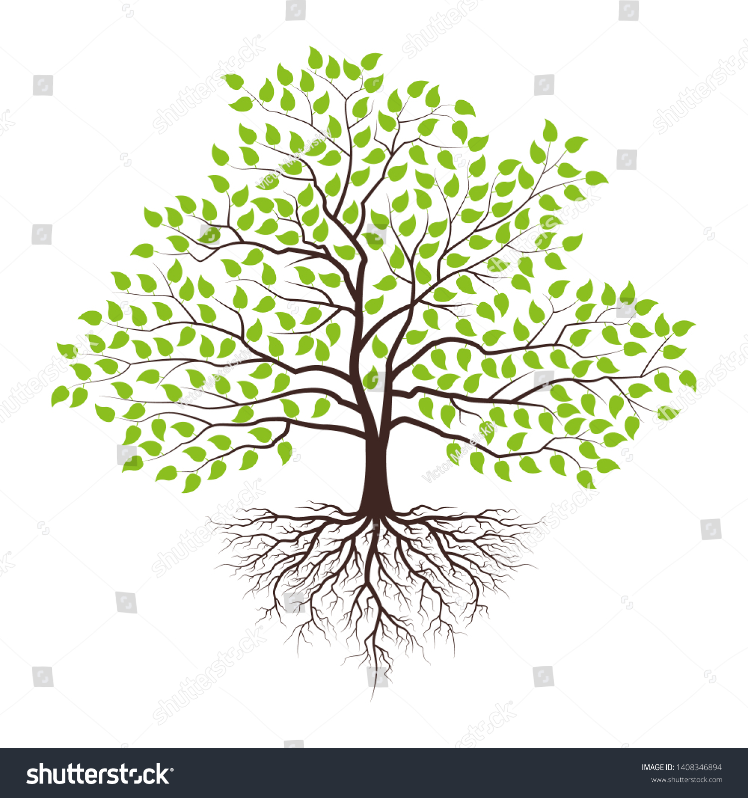 Tree Roots Green Leaves Vector Illustration Stock Vector (Royalty Free ...