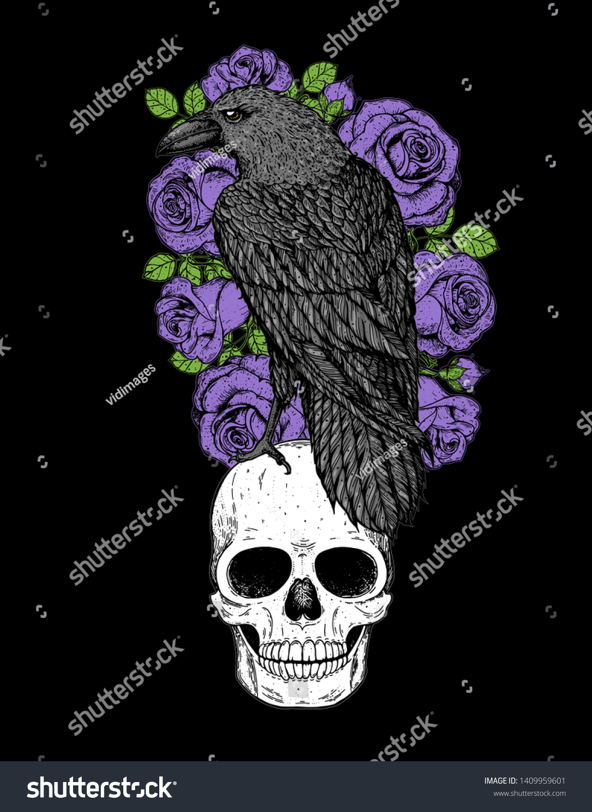 Raven Skull Purple Roses Hand Drawn Stock Vector (Royalty Free ...