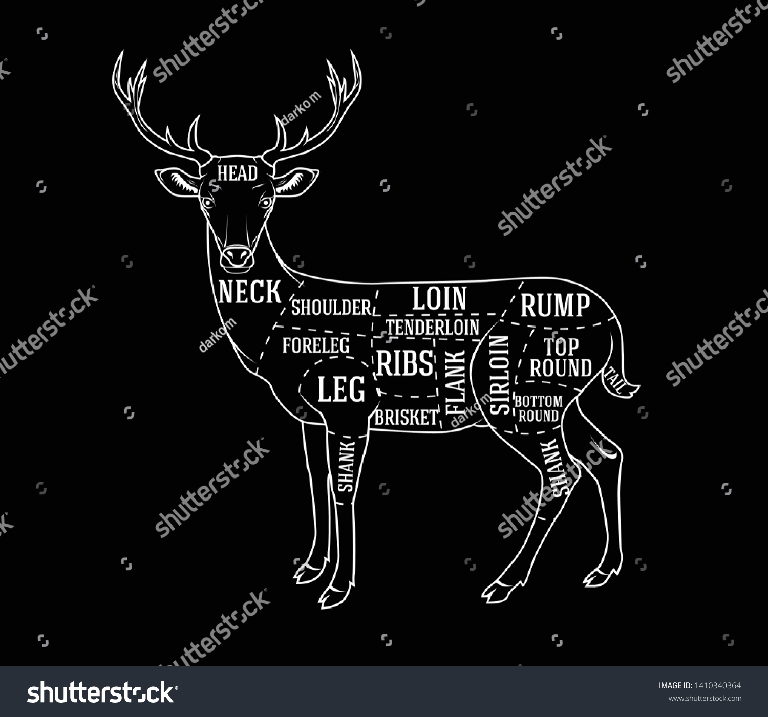 Butcher Guide Cutting Deer Meat Black Stock Vector (Royalty Free