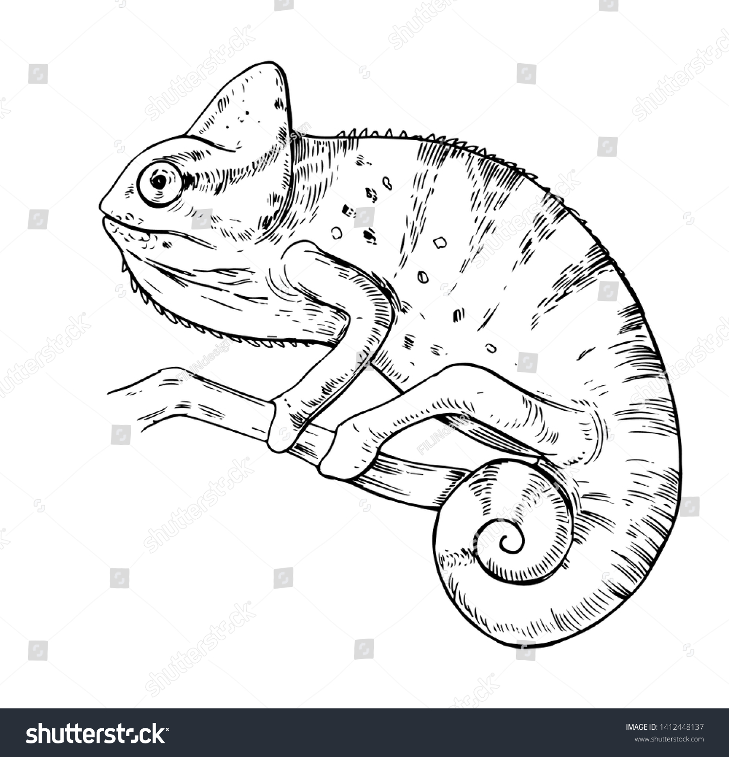 Sketch Chameleon Hand Drawn Vector Illustration Stock Vector (Royalty ...