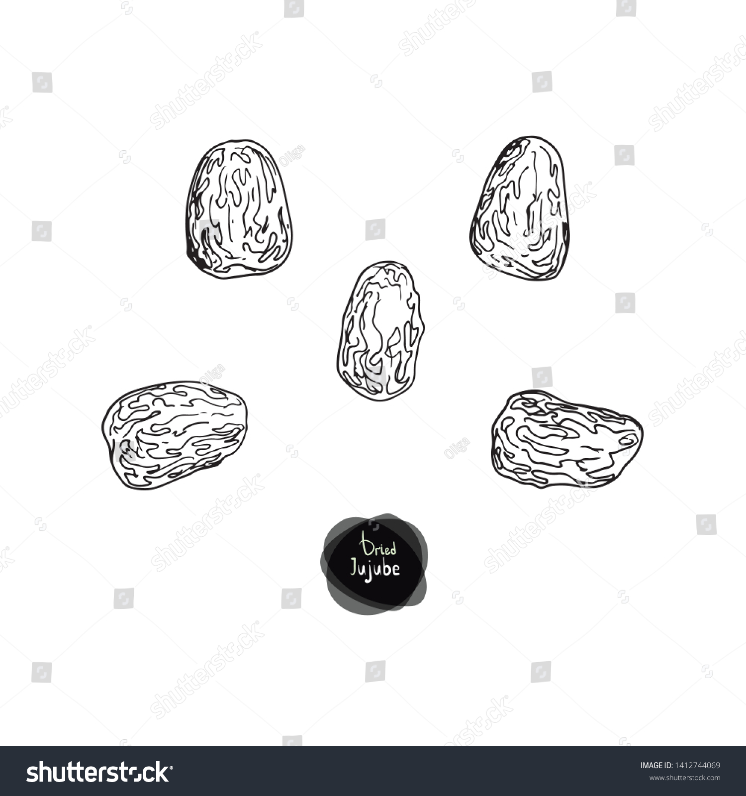 Hand Drawn Sketch Style Dried Jujube Stock Vector (Royalty Free ...