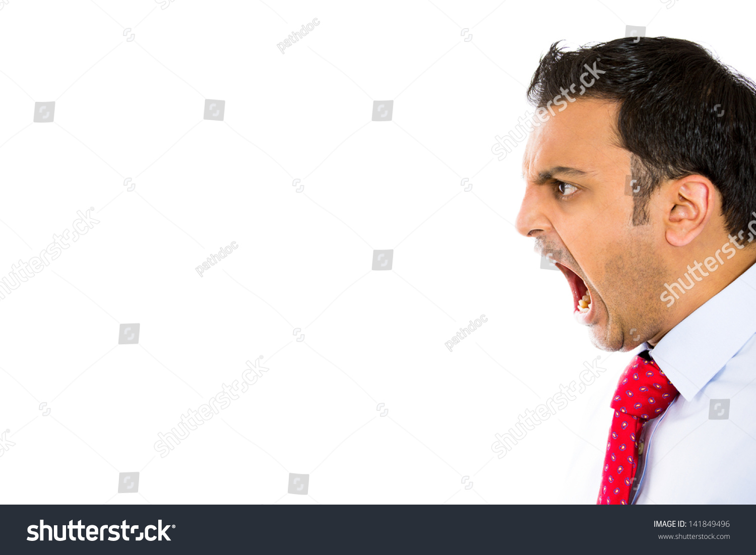 Closeup Side View Profile Portrait Angry Stock Photo 141849496 ...