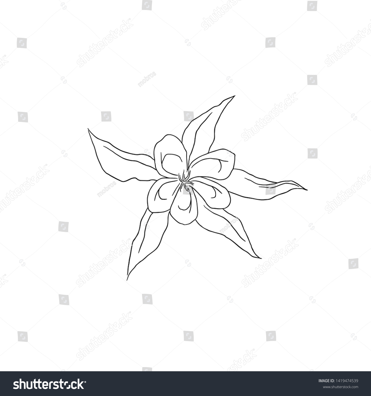 Black Line Art Columbine Flower Hand Stock Vector (Royalty Free ...