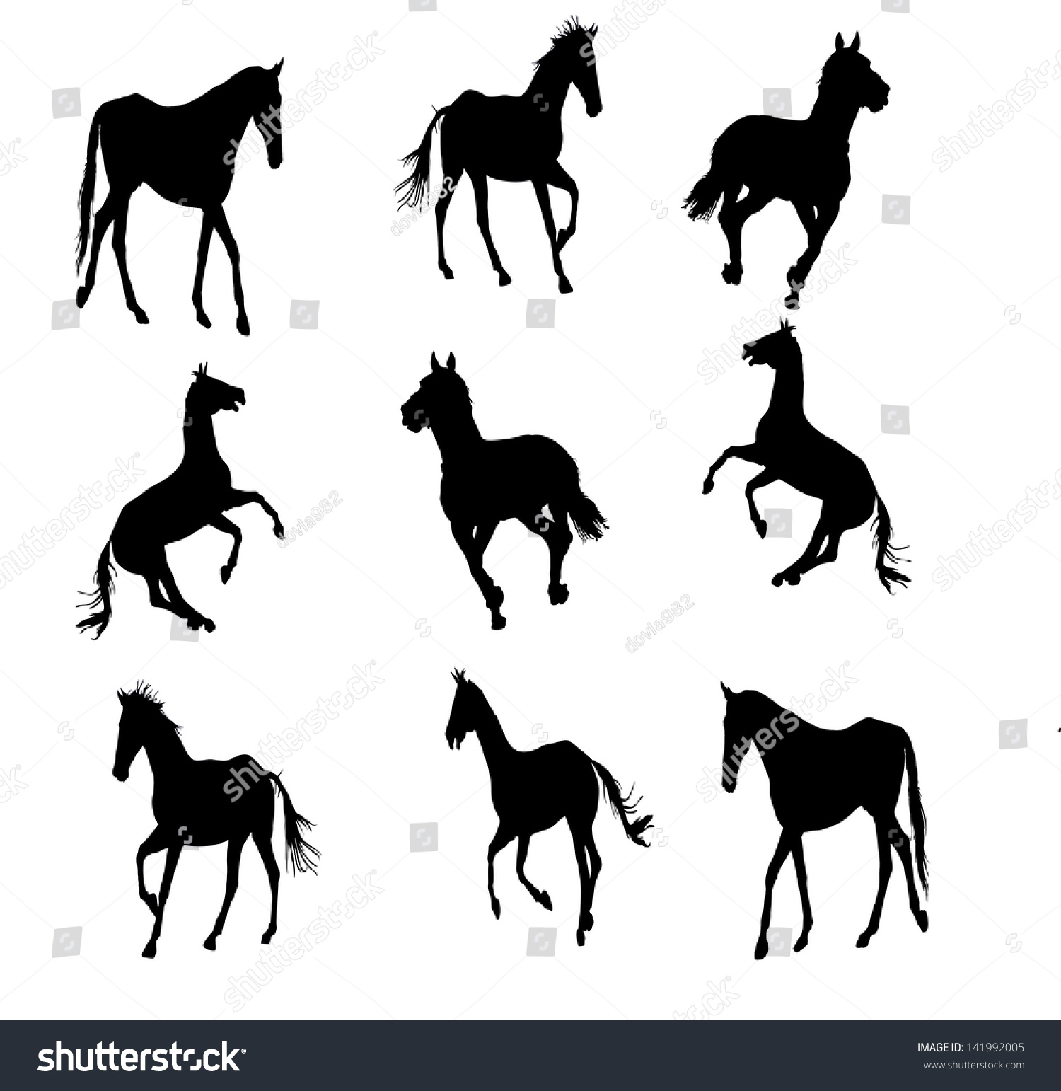 Prance Horse Silhouette Vector Illustration Horse Stock Vector (Royalty ...