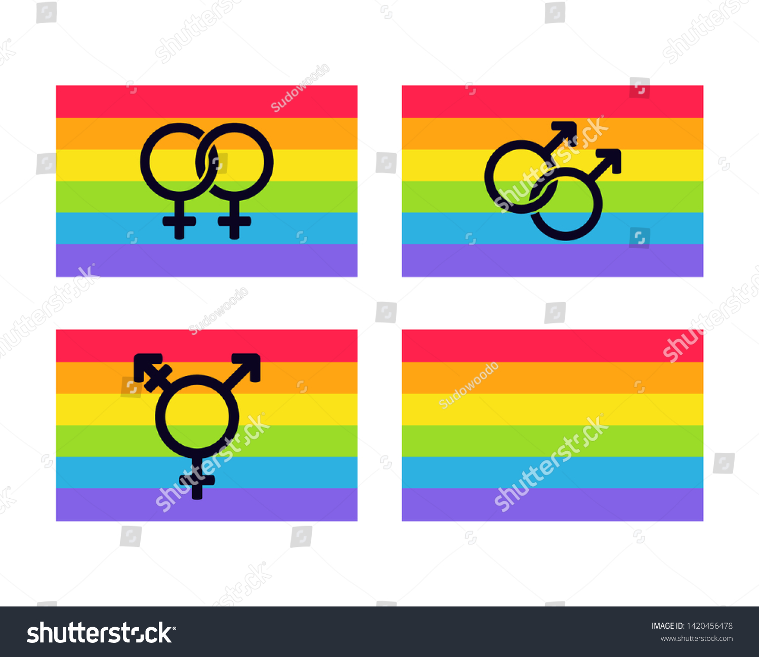 Set Lgbt Rainbow Flags Different Types Stock Vector (Royalty Free ...