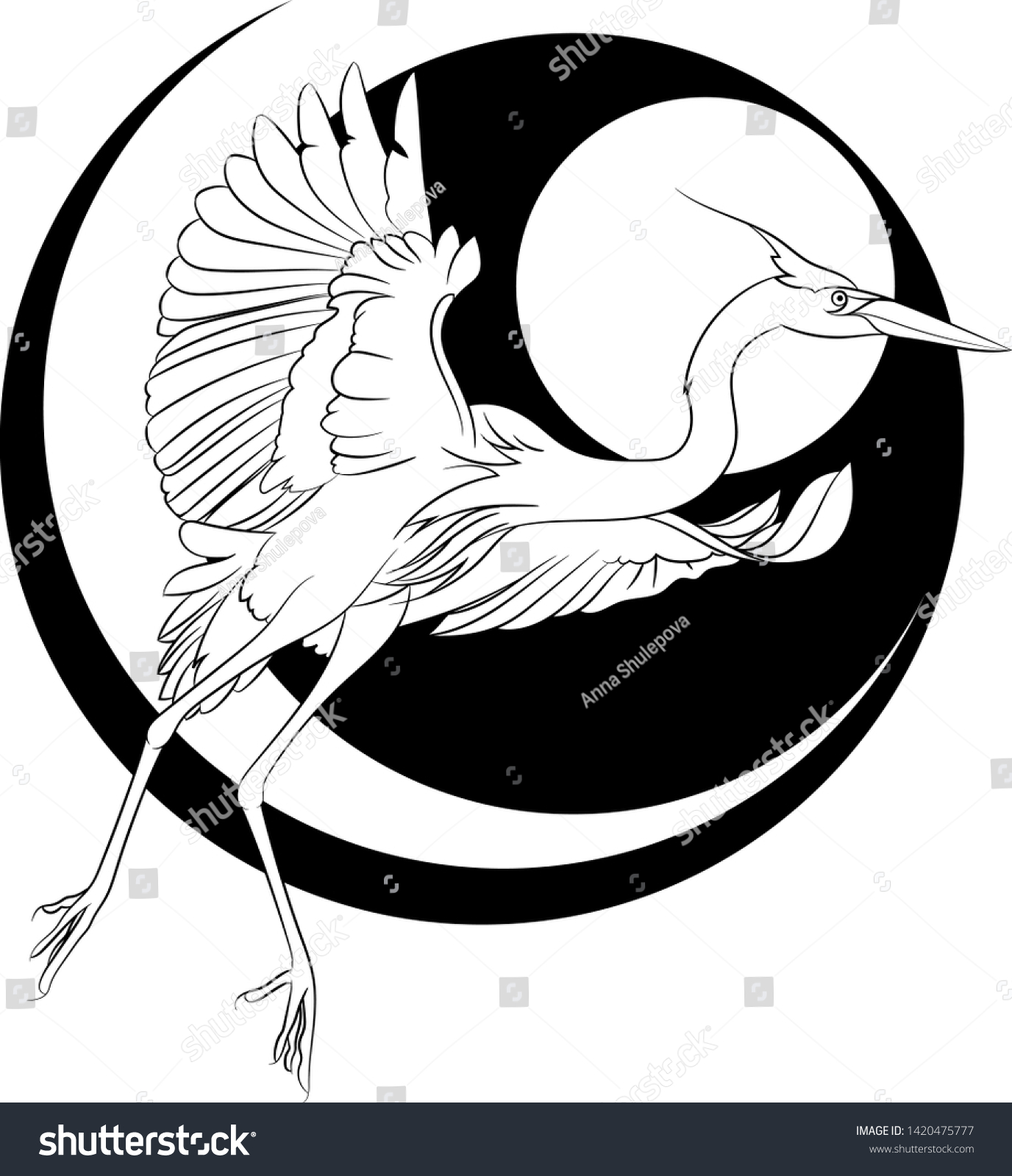 great blue heron flying drawing