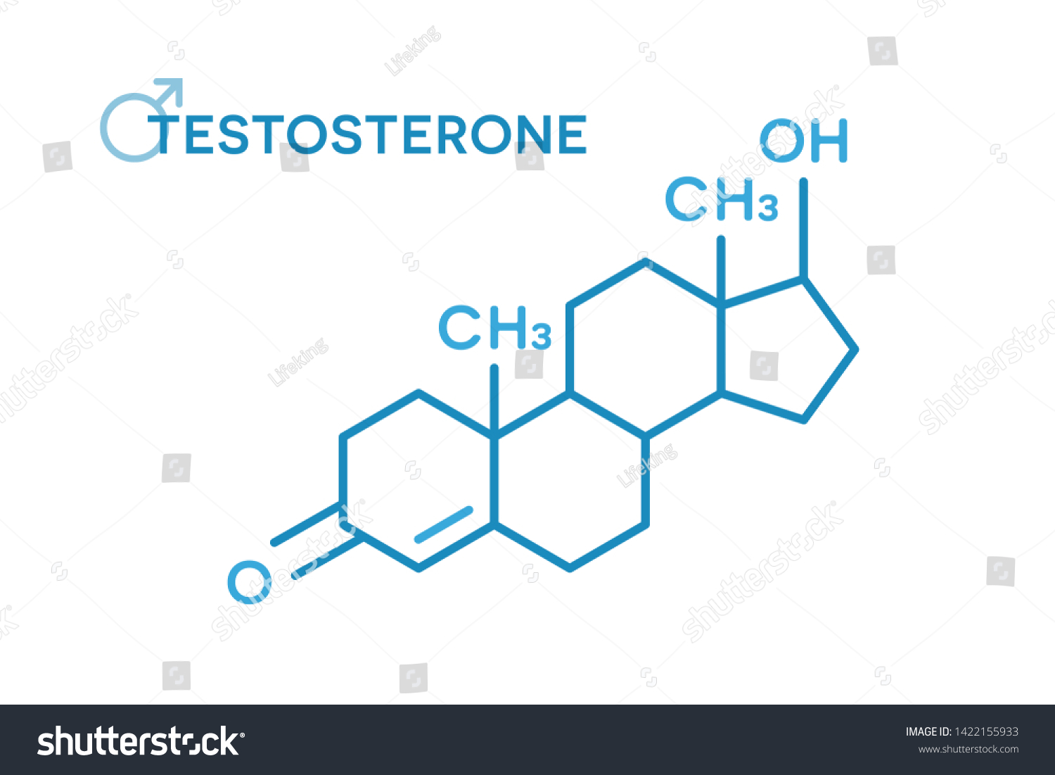 Testosterone Hormones Molecular Formula Sex Hormone Stock Vector Royalty Free 1422155933 8204